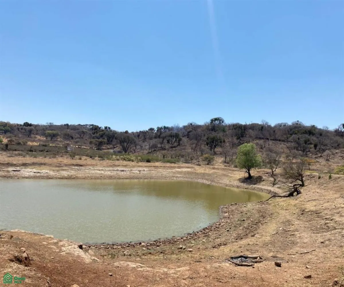 Terreno En Venta,San Nicolás de Ibarra,Sin calle Sin número, Chapala, Jalisco 45940,Sin calle,MX24622660 Terreno En Venta,San Nicolás de Ibarra,Sin calle Sin número, Chapala, Jalisco 45940,Sin calle,MX24622660