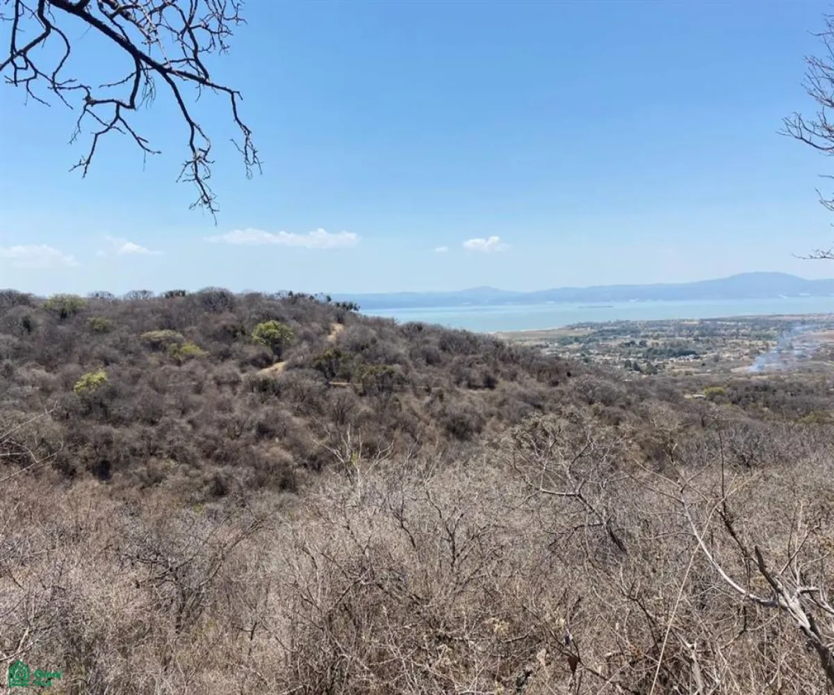 Terreno En Venta,San Nicolás de Ibarra,Sin calle Sin número, Chapala, Jalisco 45940,Sin calle,MX24622660 Terreno En Venta,San Nicolás de Ibarra,Sin calle Sin número, Chapala, Jalisco 45940,Sin calle,MX24622660