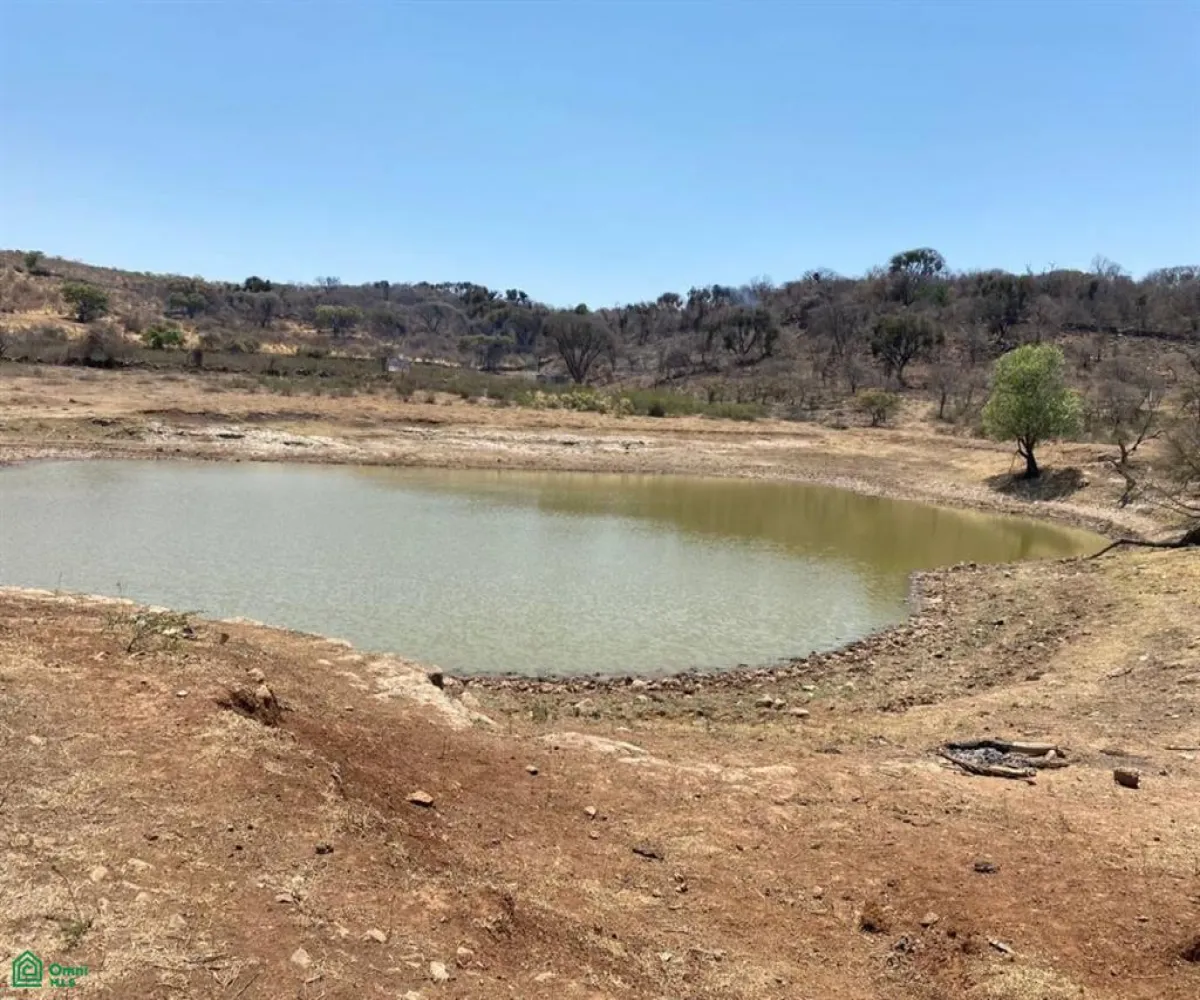 Terreno En Venta,San Nicolás de Ibarra,Sin calle Sin número, Chapala, Jalisco 45940,Sin calle,MX24622660 Terreno En Venta,San Nicolás de Ibarra,Sin calle Sin número, Chapala, Jalisco 45940,Sin calle,MX24622660