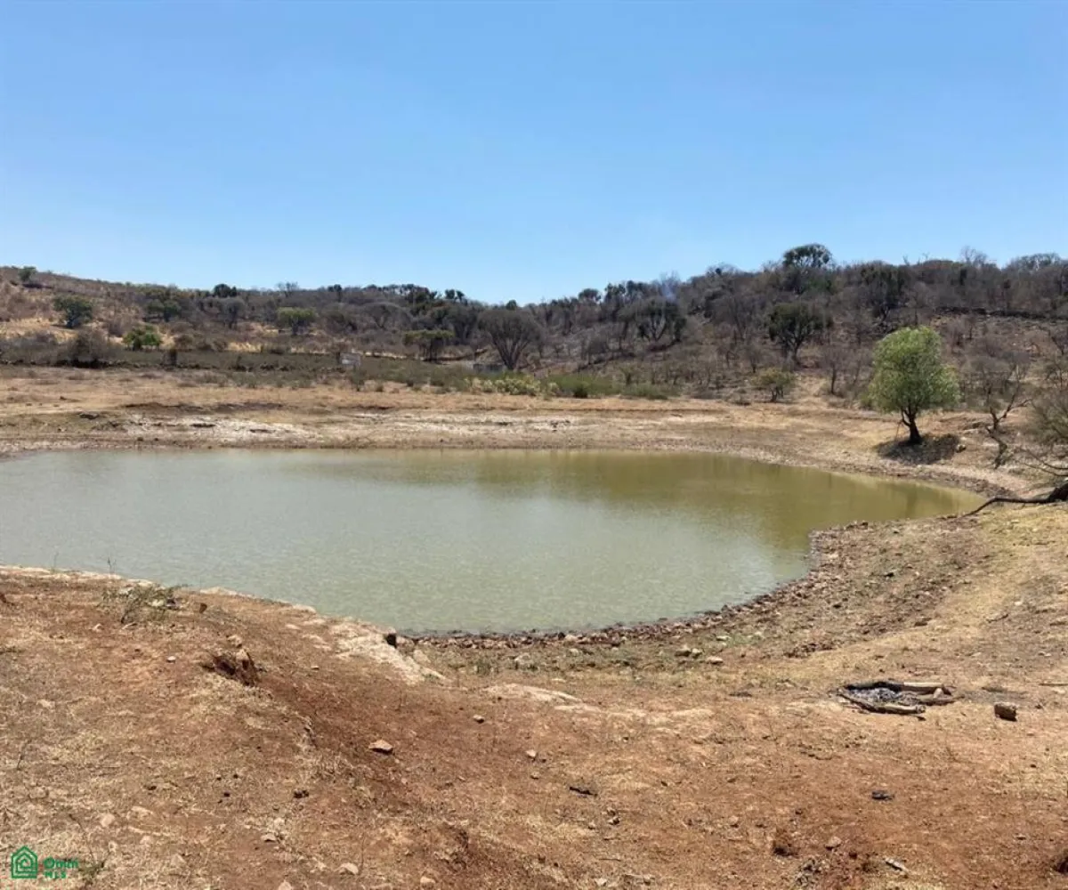 Terreno En Venta,San Nicolás de Ibarra,Sin calle Sin número, Chapala, Jalisco 45940,Sin calle,MX24622660 Terreno En Venta,San Nicolás de Ibarra,Sin calle Sin número, Chapala, Jalisco 45940,Sin calle,MX24622660