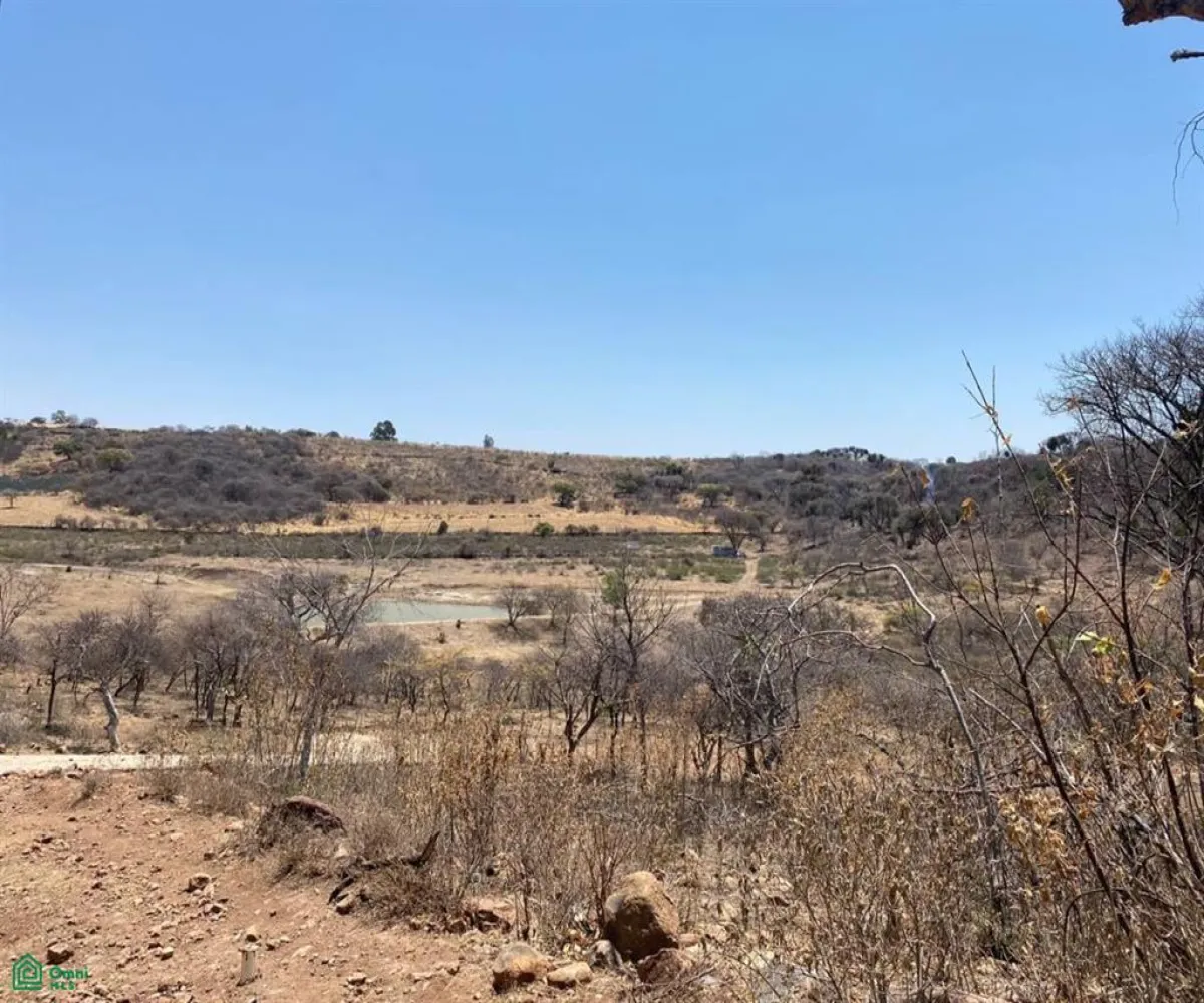 Terreno En Venta,San Nicolás de Ibarra,Sin calle Sin número, Chapala, Jalisco 45940,Sin calle,MX24622660 Terreno En Venta,San Nicolás de Ibarra,Sin calle Sin número, Chapala, Jalisco 45940,Sin calle,MX24622660