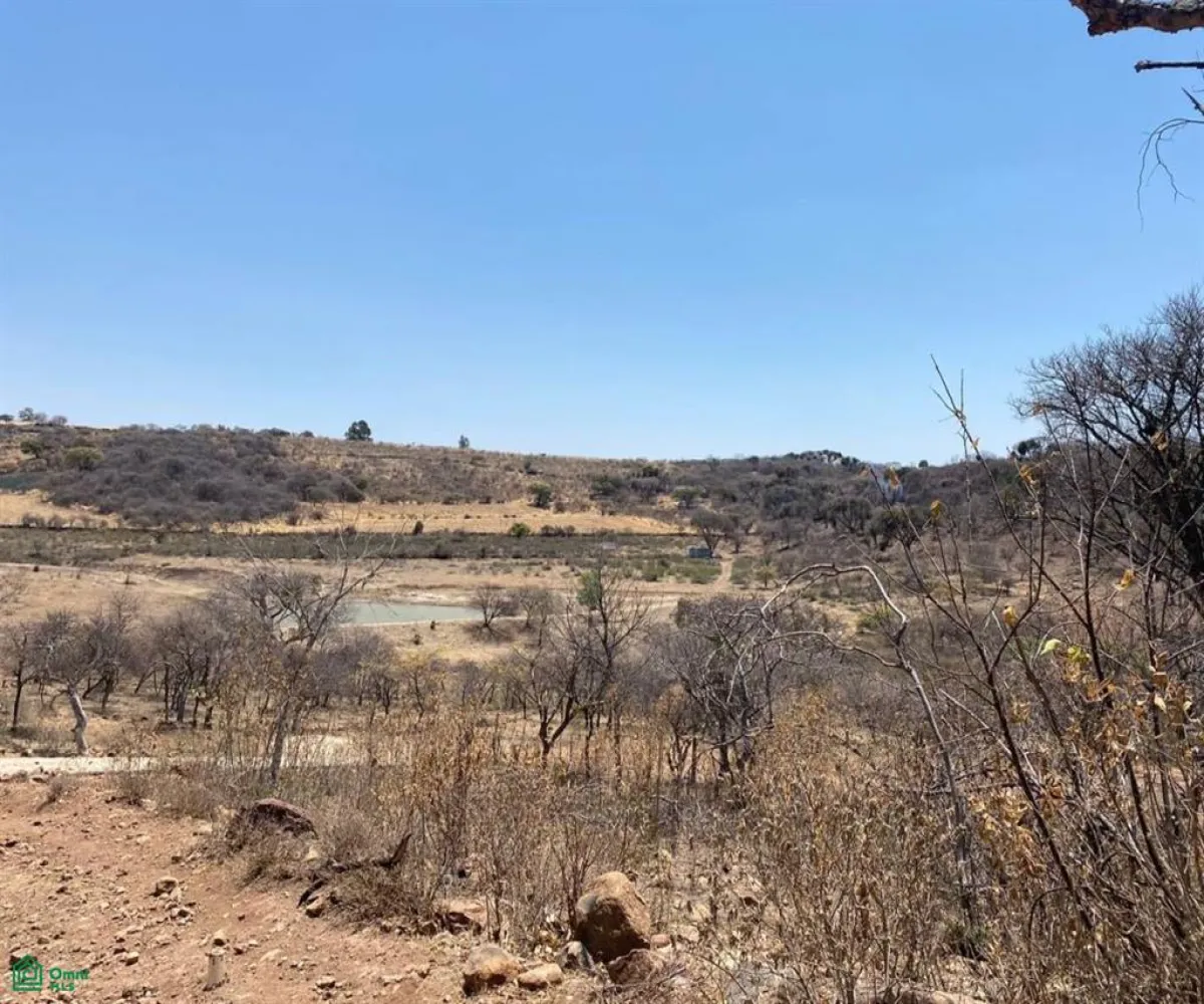 Terreno En Venta,San Nicolás de Ibarra,Sin calle Sin número, Chapala, Jalisco 45940,Sin calle,MX24622660 Terreno En Venta,San Nicolás de Ibarra,Sin calle Sin número, Chapala, Jalisco 45940,Sin calle,MX24622660