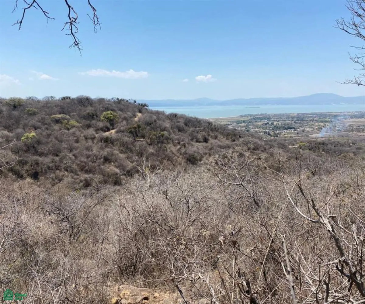 Terreno En Venta,San Nicolás de Ibarra,Sin calle Sin número, Chapala, Jalisco 45940,Sin calle,MX24622660 Terreno En Venta,San Nicolás de Ibarra,Sin calle Sin número, Chapala, Jalisco 45940,Sin calle,MX24622660