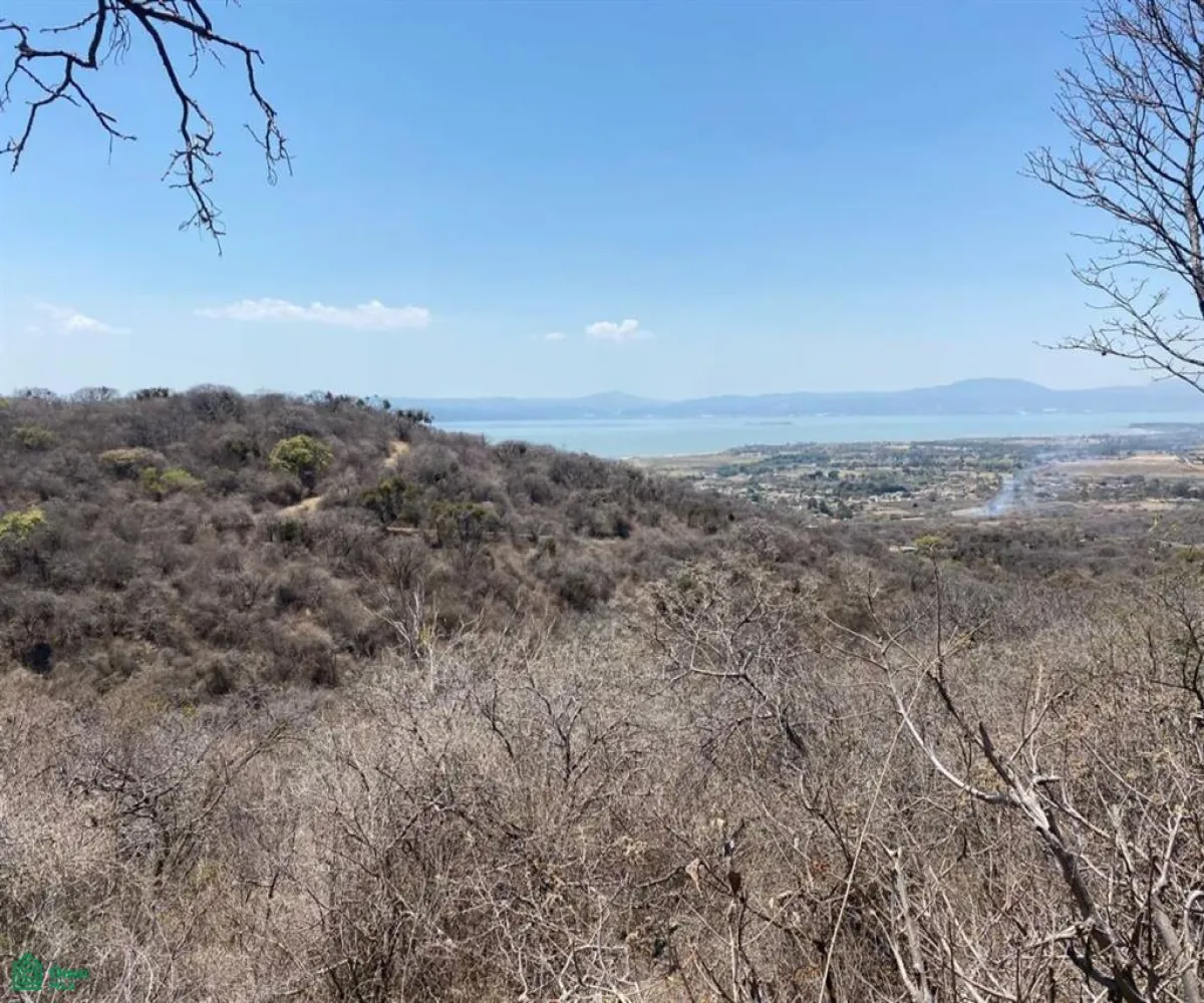 Terreno En Venta,San Nicolás de Ibarra,Sin calle Sin número, Chapala, Jalisco 45940,Sin calle,MX24622660 Terreno En Venta,San Nicolás de Ibarra,Sin calle Sin número, Chapala, Jalisco 45940,Sin calle,MX24622660