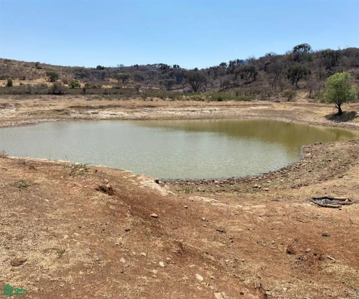 Terreno En Venta,San Nicolás de Ibarra,Sin calle Sin número, Chapala, Jalisco 45940,Sin calle,MX24622660 Terreno En Venta,San Nicolás de Ibarra,Sin calle Sin número, Chapala, Jalisco 45940,Sin calle,MX24622660