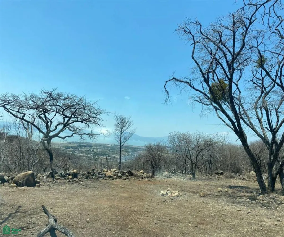 Terreno En Venta,San Nicolás de Ibarra,Sin calle Sin número, Chapala, Jalisco 45940,Sin calle,MX24622660 Terreno En Venta,San Nicolás de Ibarra,Sin calle Sin número, Chapala, Jalisco 45940,Sin calle,MX24622660