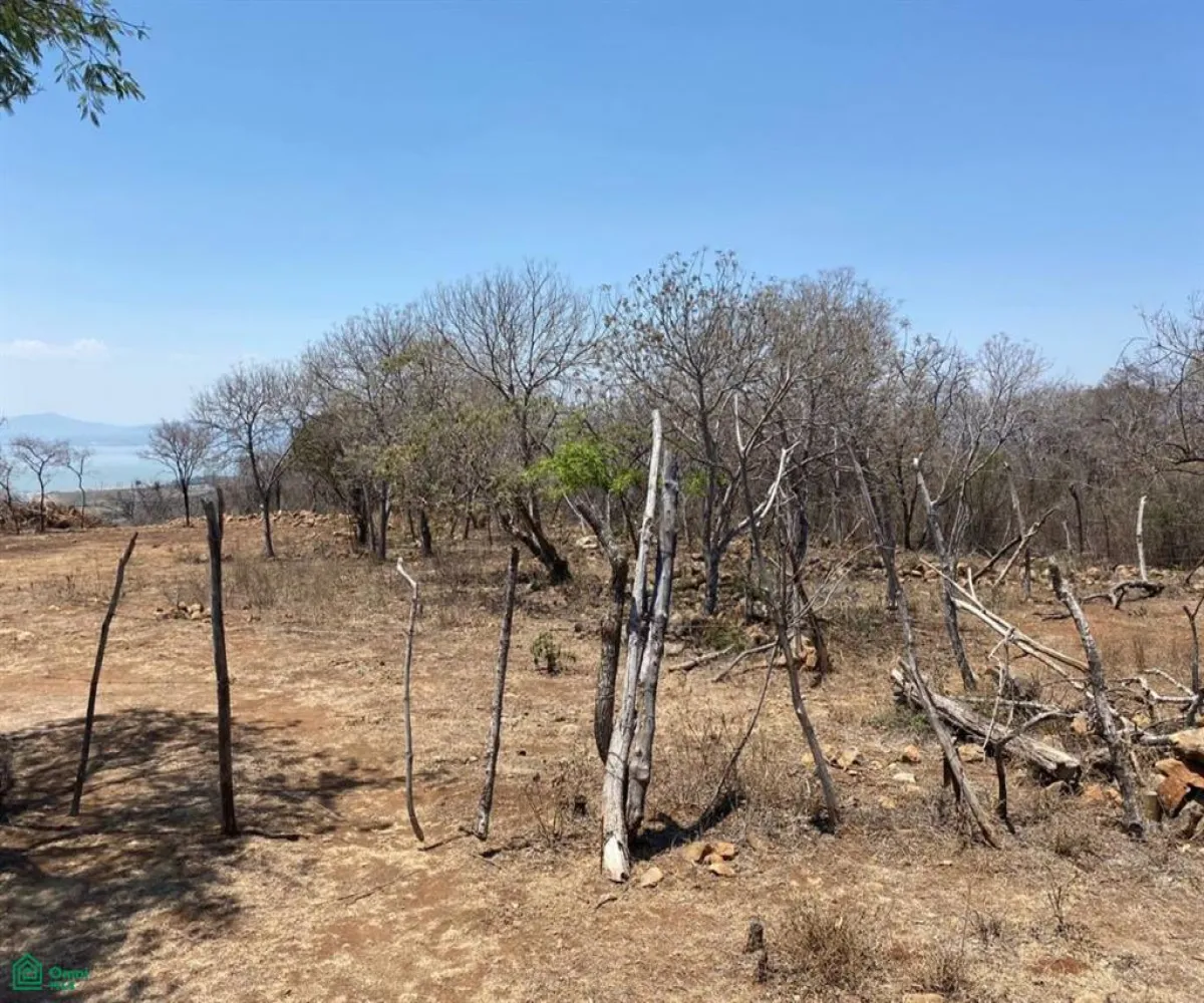 Terreno En Venta,San Nicolás de Ibarra,Sin calle Sin número, Chapala, Jalisco 45940,Sin calle,MX24622660 Terreno En Venta,San Nicolás de Ibarra,Sin calle Sin número, Chapala, Jalisco 45940,Sin calle,MX24622660