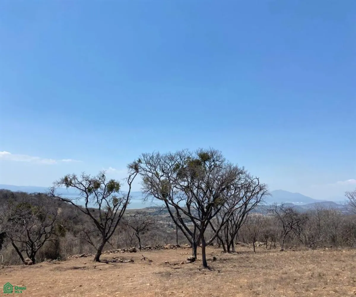 Terreno En Venta,San Nicolás de Ibarra,Sin calle Sin número, Chapala, Jalisco 45940,Sin calle,MX24622660 Terreno En Venta,San Nicolás de Ibarra,Sin calle Sin número, Chapala, Jalisco 45940,Sin calle,MX24622660