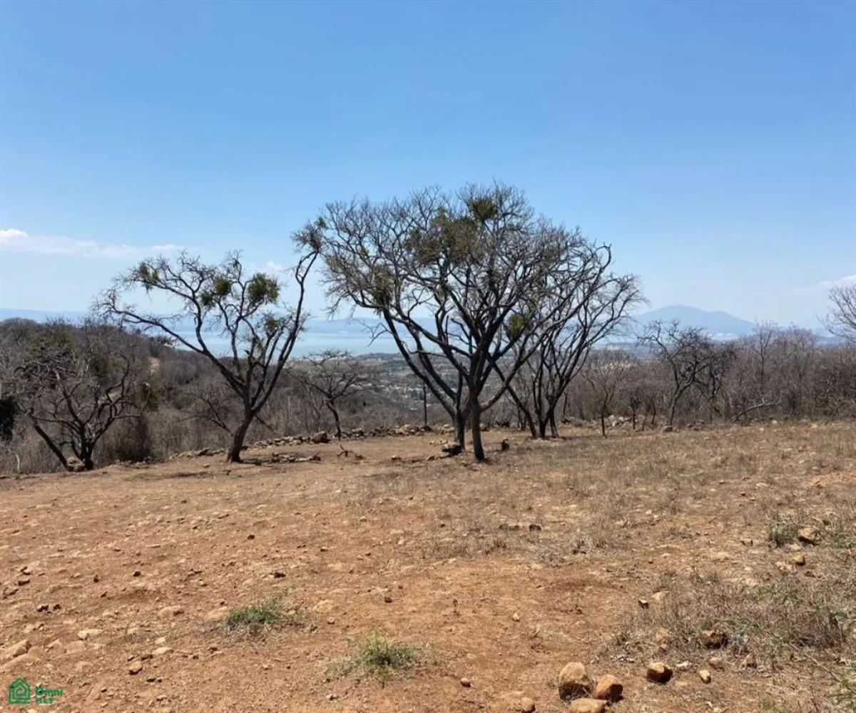 Terreno En Venta,San Nicolás de Ibarra,Sin calle Sin número, Chapala, Jalisco 45940,Sin calle,MX24622660 Terreno En Venta,San Nicolás de Ibarra,Sin calle Sin número, Chapala, Jalisco 45940,Sin calle,MX24622660