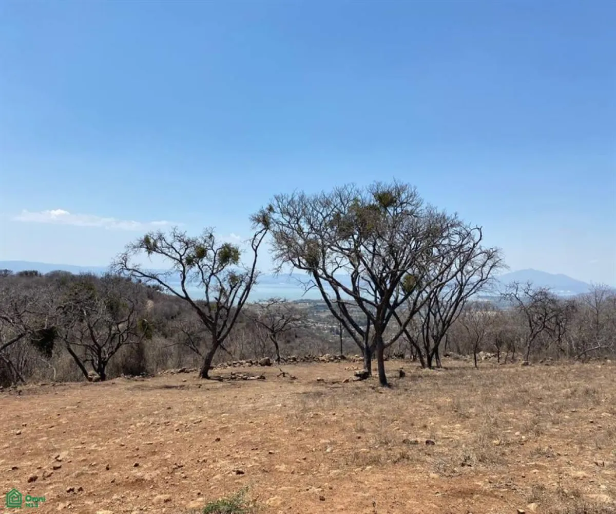Terreno En Venta,San Nicolás de Ibarra,Sin calle Sin número, Chapala, Jalisco 45940,Sin calle,MX24622660 Terreno En Venta,San Nicolás de Ibarra,Sin calle Sin número, Chapala, Jalisco 45940,Sin calle,MX24622660