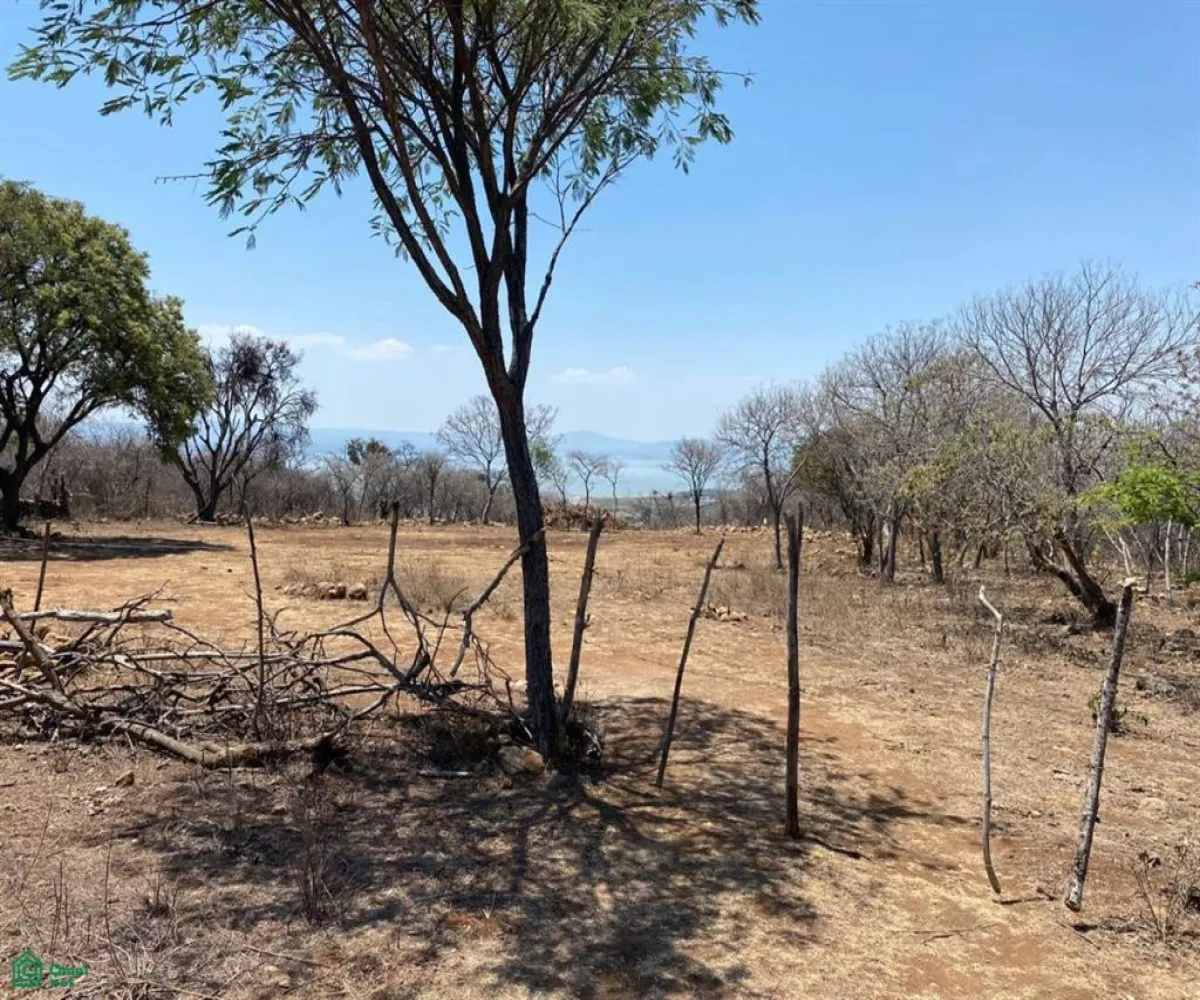Terreno En Venta,San Nicolás de Ibarra,Sin calle Sin número, Chapala, Jalisco 45940,Sin calle,MX24622660 Terreno En Venta,San Nicolás de Ibarra,Sin calle Sin número, Chapala, Jalisco 45940,Sin calle,MX24622660