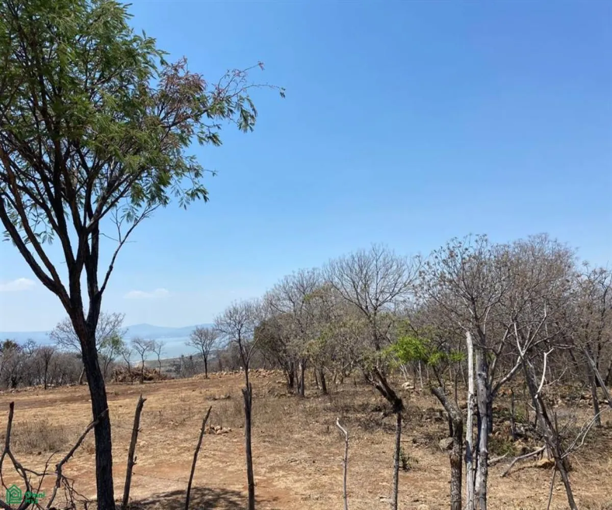 Terreno En Venta,San Nicolás de Ibarra,Sin calle Sin número, Chapala, Jalisco 45940,Sin calle,MX24622660 Terreno En Venta,San Nicolás de Ibarra,Sin calle Sin número, Chapala, Jalisco 45940,Sin calle,MX24622660
