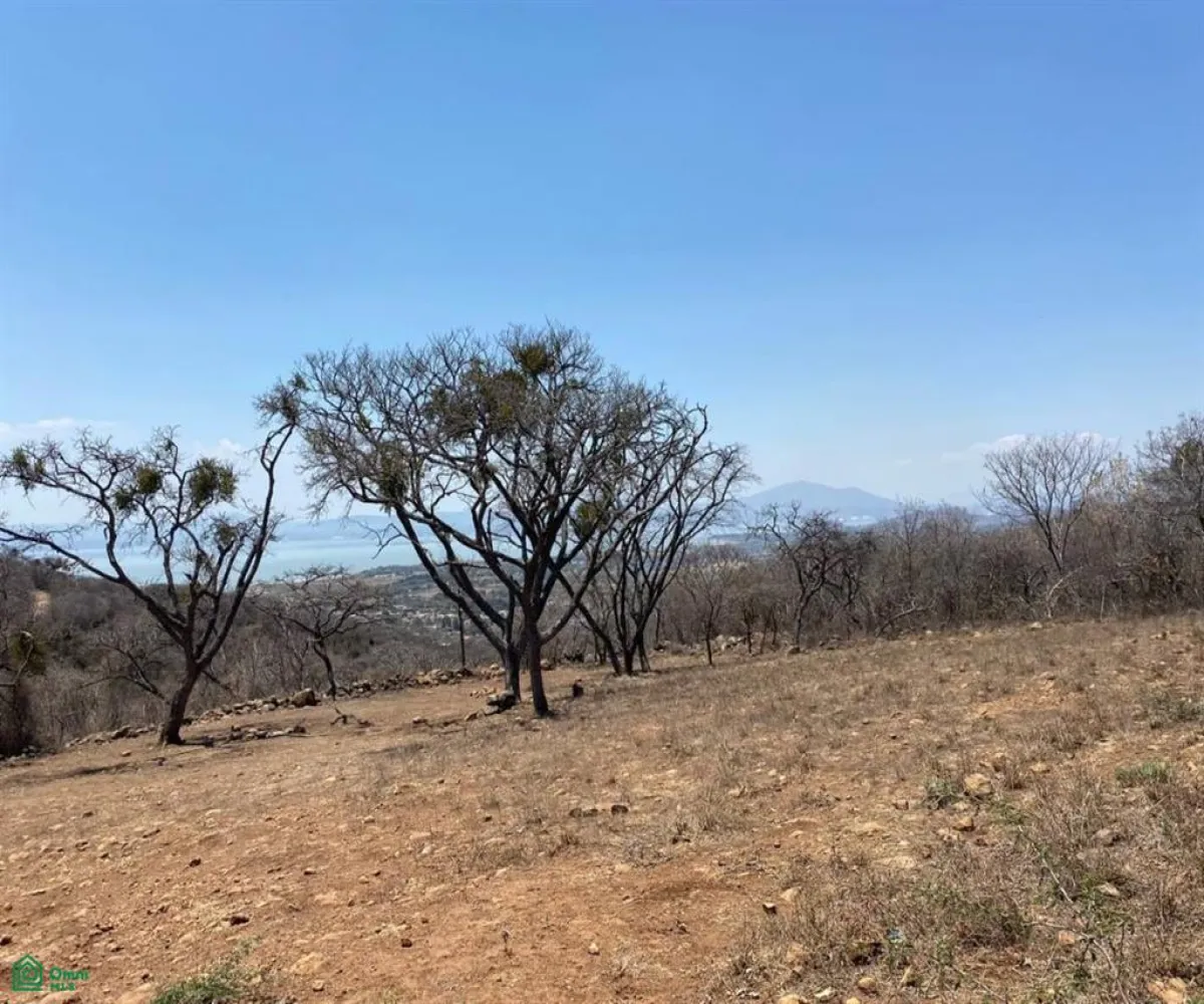 Terreno En Venta,San Nicolás de Ibarra,Sin calle Sin número, Chapala, Jalisco 45940,Sin calle,MX24622660 Terreno En Venta,San Nicolás de Ibarra,Sin calle Sin número, Chapala, Jalisco 45940,Sin calle,MX24622660