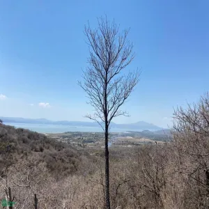 Terreno En Venta,San Nicolás de Ibarra,Sin calle Sin número, Chapala, Jalisco 45940,Sin calle,MX24622660