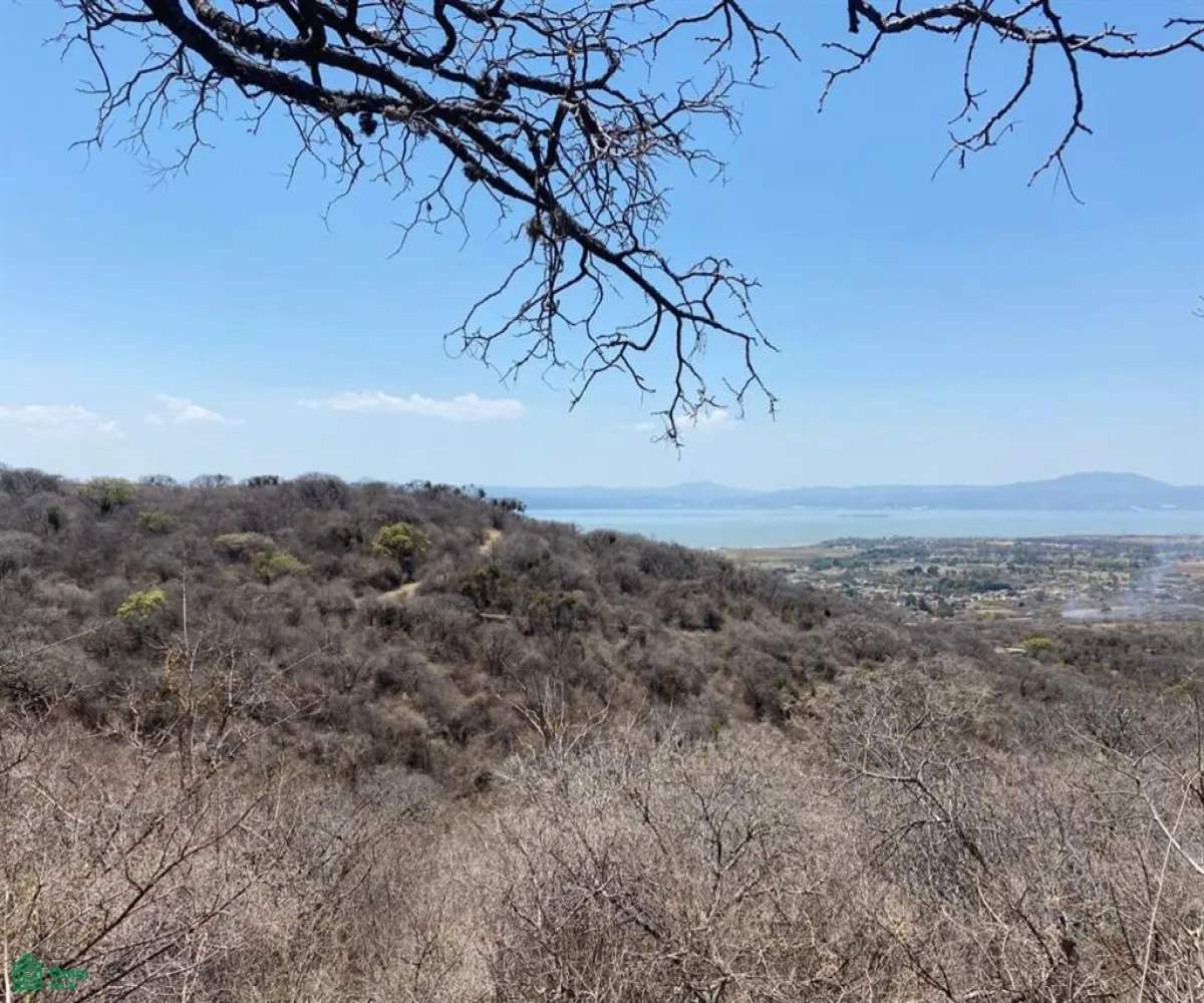 Terreno En Venta,San Nicolás de Ibarra,Sin calle Sin número, Chapala, Jalisco 45940,Sin calle,MX24622660 Terreno En Venta,San Nicolás de Ibarra,Sin calle Sin número, Chapala, Jalisco 45940,Sin calle,MX24622660