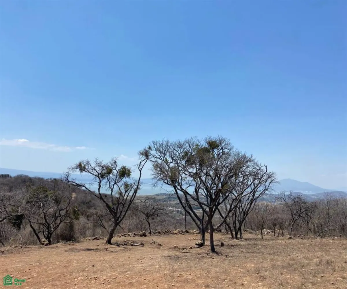Terreno En Venta,San Nicolás de Ibarra,Sin calle Sin número, Chapala, Jalisco 45940,Sin calle,MX24622660 Terreno En Venta,San Nicolás de Ibarra,Sin calle Sin número, Chapala, Jalisco 45940,Sin calle,MX24622660