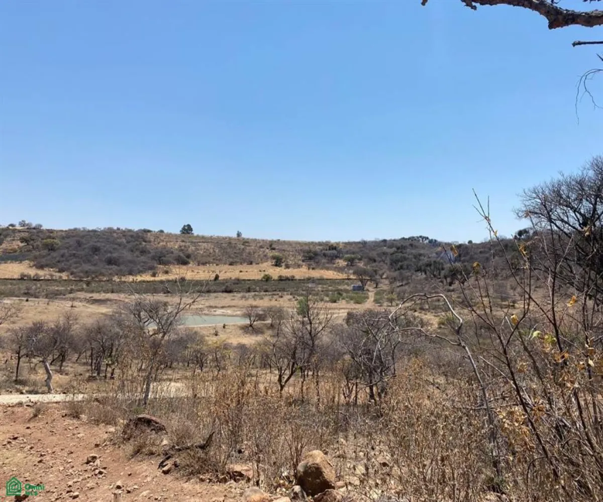 Terreno En Venta,San Nicolás de Ibarra,Sin calle Sin número, Chapala, Jalisco 45940,Sin calle,MX24622660 Terreno En Venta,San Nicolás de Ibarra,Sin calle Sin número, Chapala, Jalisco 45940,Sin calle,MX24622660