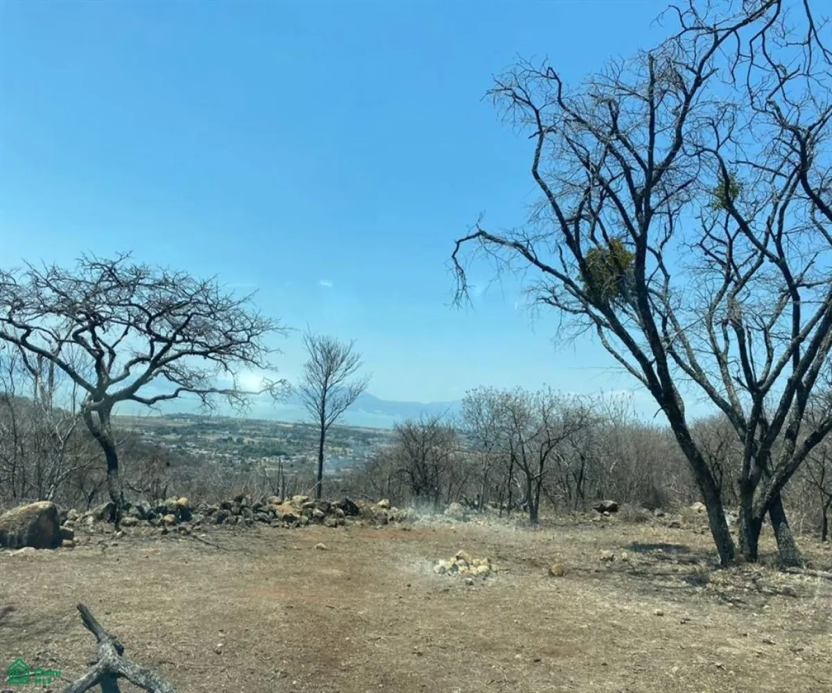 Terreno En Venta,San Nicolás de Ibarra,Sin calle Sin número, Chapala, Jalisco 45940,Sin calle,MX24622660 Terreno En Venta,San Nicolás de Ibarra,Sin calle Sin número, Chapala, Jalisco 45940,Sin calle,MX24622660
