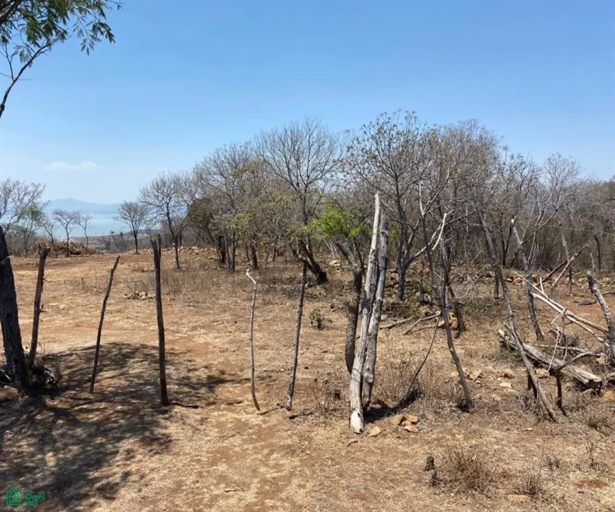 Terreno En Venta,San Nicolás de Ibarra,Sin calle Sin número, Chapala, Jalisco 45940,Sin calle,MX24622660 Terreno En Venta,San Nicolás de Ibarra,Sin calle Sin número, Chapala, Jalisco 45940,Sin calle,MX24622660