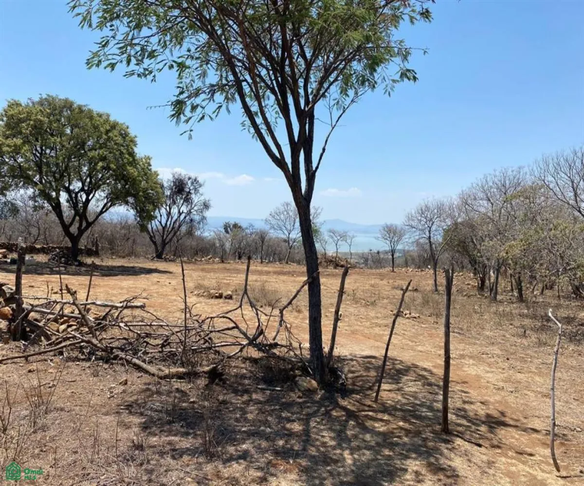 Terreno En Venta,San Nicolás de Ibarra,Sin calle Sin número, Chapala, Jalisco 45940,Sin calle,MX24622660 Terreno En Venta,San Nicolás de Ibarra,Sin calle Sin número, Chapala, Jalisco 45940,Sin calle,MX24622660