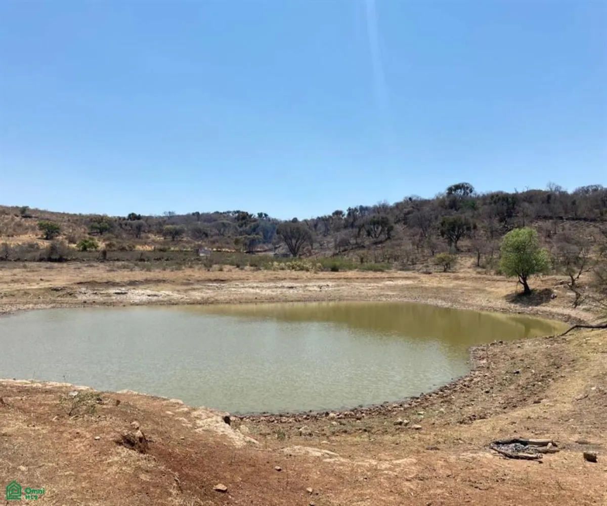 Terreno En Venta,San Nicolás de Ibarra,Sin calle Sin número, Chapala, Jalisco 45940,Sin calle,MX24622660 Terreno En Venta,San Nicolás de Ibarra,Sin calle Sin número, Chapala, Jalisco 45940,Sin calle,MX24622660