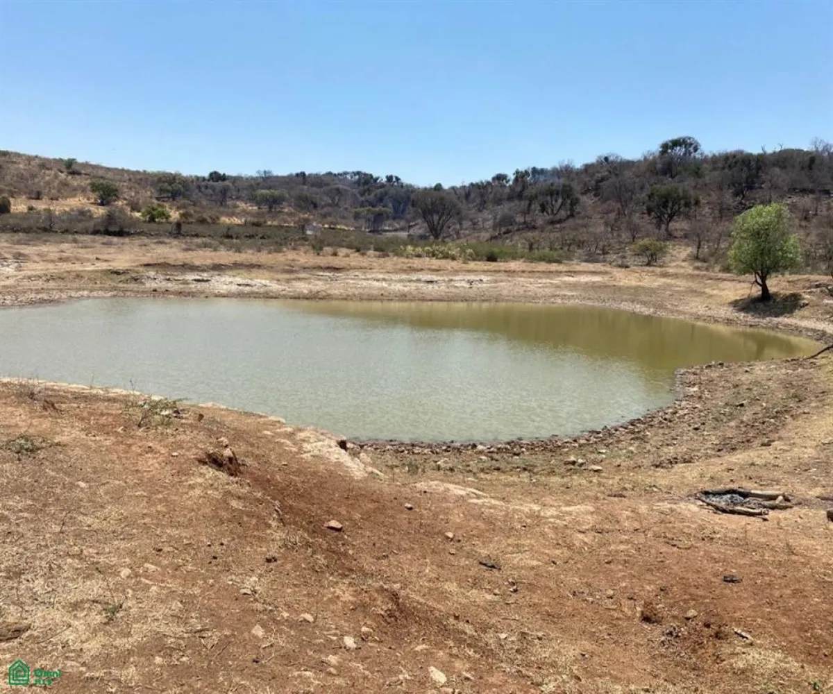 Terreno En Venta,San Nicolás de Ibarra,Sin calle Sin número, Chapala, Jalisco 45940,Sin calle,MX24622660 Terreno En Venta,San Nicolás de Ibarra,Sin calle Sin número, Chapala, Jalisco 45940,Sin calle,MX24622660