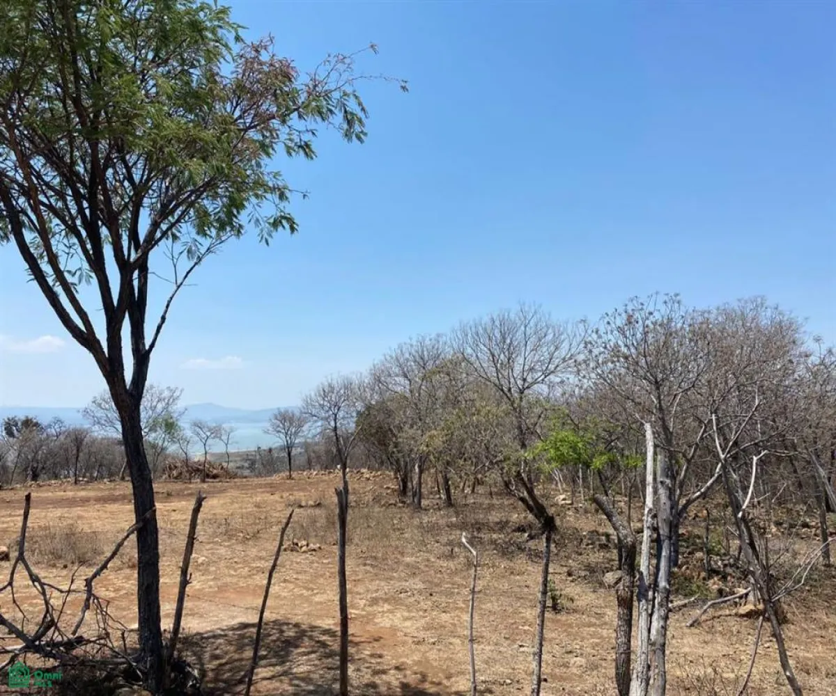 Terreno En Venta,San Nicolás de Ibarra,Sin calle Sin número, Chapala, Jalisco 45940,Sin calle,MX24622660 Terreno En Venta,San Nicolás de Ibarra,Sin calle Sin número, Chapala, Jalisco 45940,Sin calle,MX24622660
