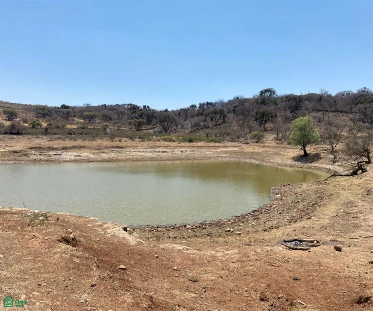 Terreno En Venta,San Nicolás de Ibarra,Sin calle Sin número, Chapala, Jalisco 45940,Sin calle,MX24622660 Terreno En Venta,San Nicolás de Ibarra,Sin calle Sin número, Chapala, Jalisco 45940,Sin calle,MX24622660