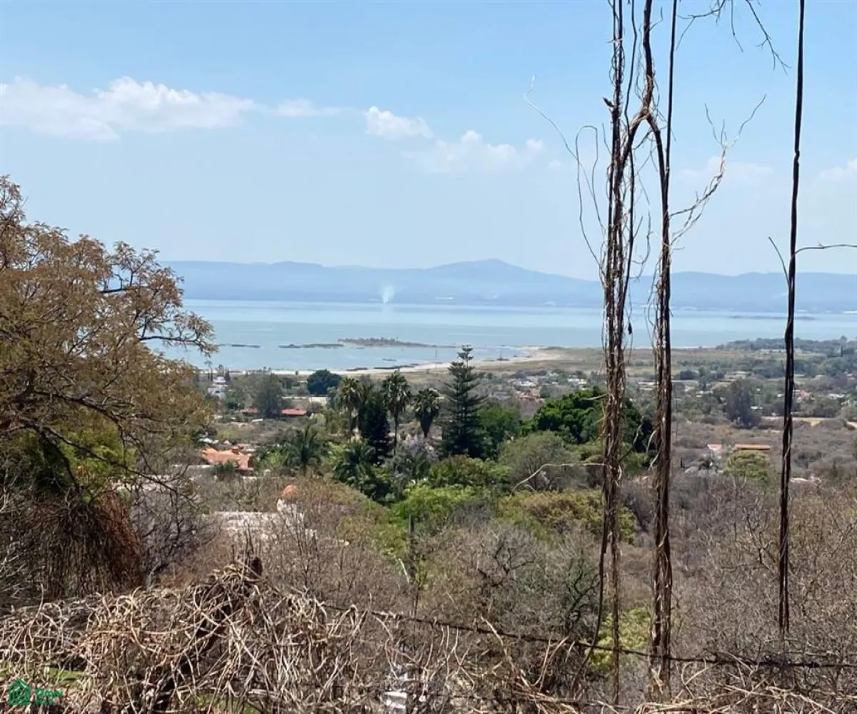 Terreno En Venta,San Nicolás de Ibarra,Sin calle Sin número, Chapala, Jalisco 45940,Sin calle,MX24622660 Terreno En Venta,San Nicolás de Ibarra,Sin calle Sin número, Chapala, Jalisco 45940,Sin calle,MX24622660