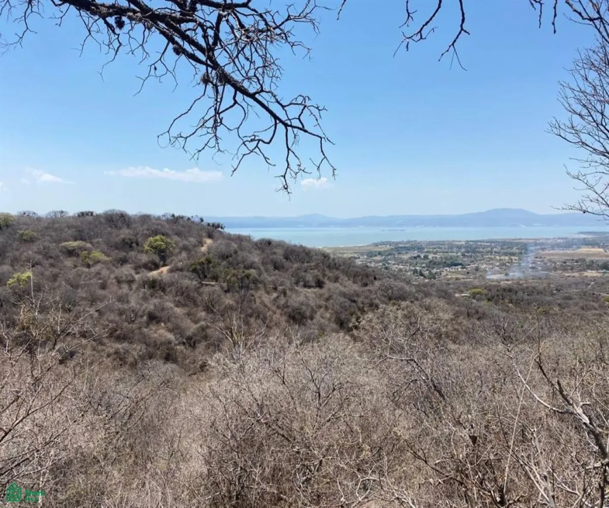 Terreno En Venta,San Nicolás de Ibarra,Sin calle Sin número, Chapala, Jalisco 45940,Sin calle,MX24622660 Terreno En Venta,San Nicolás de Ibarra,Sin calle Sin número, Chapala, Jalisco 45940,Sin calle,MX24622660