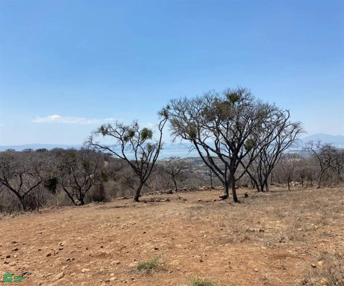 Terreno En Venta,San Nicolás de Ibarra,Sin calle Sin número, Chapala, Jalisco 45940,Sin calle,MX24622660 Terreno En Venta,San Nicolás de Ibarra,Sin calle Sin número, Chapala, Jalisco 45940,Sin calle,MX24622660