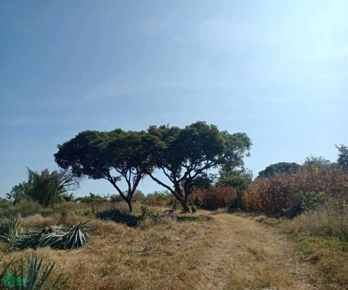 Terreno En Venta,San Nicolás de Ibarra,La Campanilla F5, Chapala, Jalisco 45940,La Campanilla,MX24880962