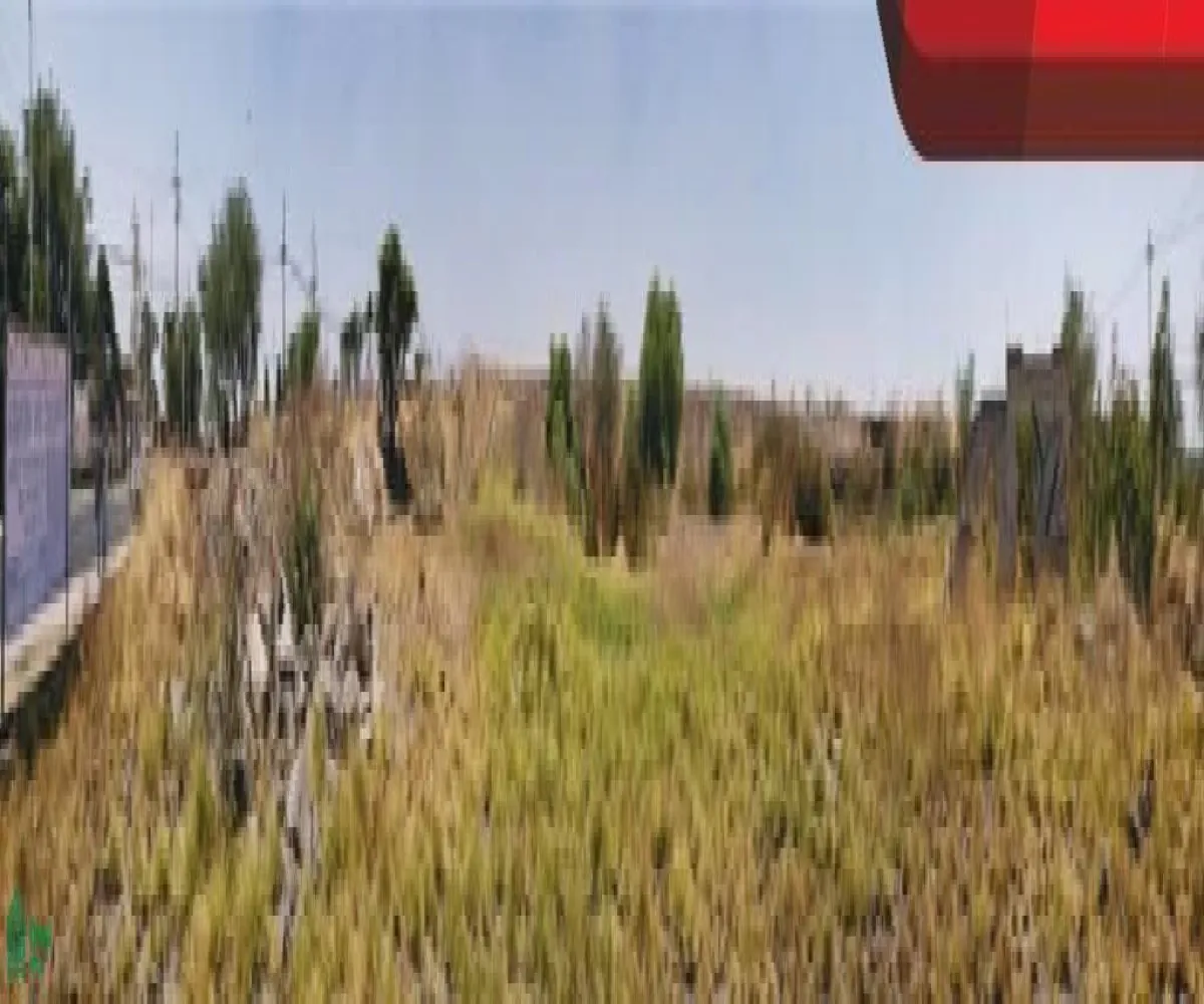 Terreno En Venta,San Sebastián El Grande,Camino a Unión 4, Tlajomulco de Zuniga, Jalisco 45650,Camino a Unión,MX2527067 Terreno En Venta,San Sebastián El Grande,Camino a Unión 4, Tlajomulco de Zuniga, Jalisco 45650,Camino a Unión,MX2527067