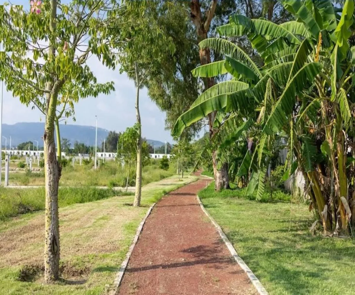 Terreno En Venta,San Agustín,Laguna de Chapala esquina Lago Cajititlan 1185, Tlajomulco de Zúñiga, Jalisco 45645,Laguna de Chapala esquina Lago Cajititlan,p58LoRO Terreno En Venta,San Agustín,Laguna de Chapala esquina Lago Cajititlan 1185, Tlajomulco de Zúñiga, Jalisco 45645,Laguna de Chapala esquina Lago Cajititlan,p58LoRO