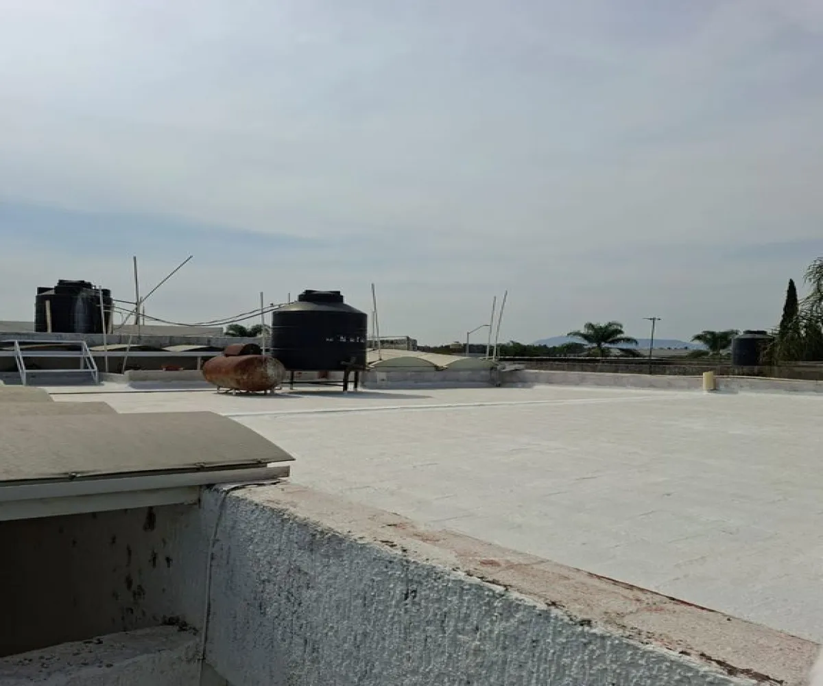 Local En Renta,Av. Base Aérea Militar 1572, Zapopan, Jalisco 45138,Av. Base Aérea Militar,1,pgWPemq Local En Renta,Av. Base Aérea Militar 1572, Zapopan, Jalisco 45138,Av. Base Aérea Militar,1,pgWPemq