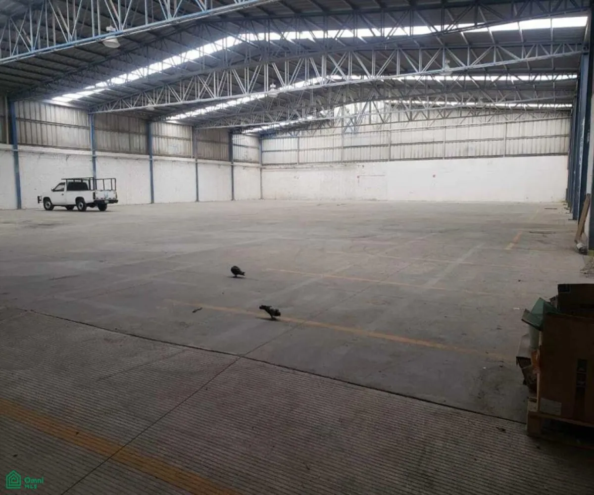 Local En Renta,Francisco Sarabia,HERNAN CORTES 791, Zapopan, Jalisco 45236,HERNAN CORTES,MX25868888