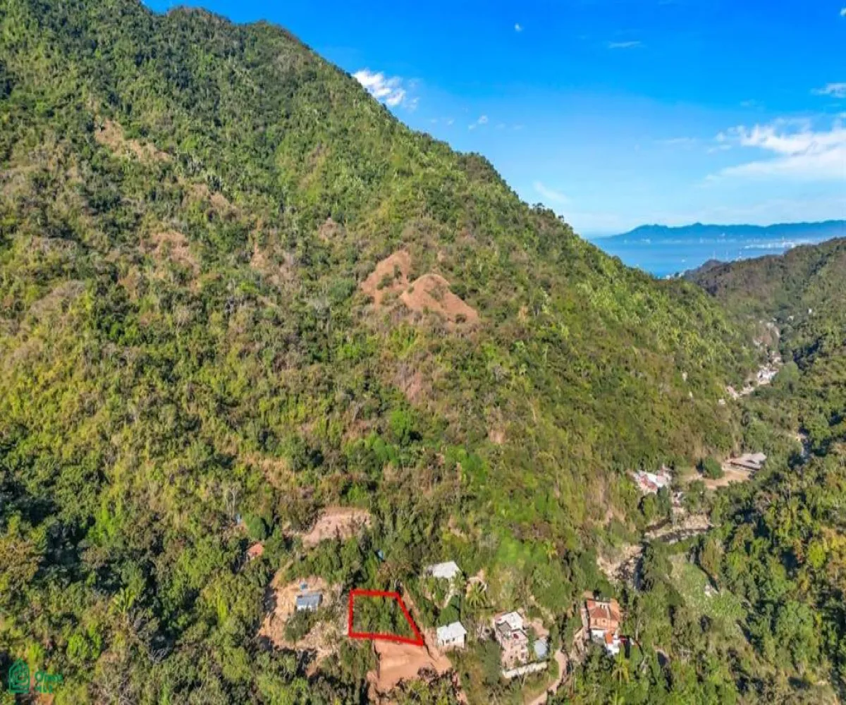 Terreno En Venta,Paso Del Molino,Pantera Lote 3 Manzana 8 Zona 1, Puerto Vallarta, Jalisco 48373,Pantera,MX25871502