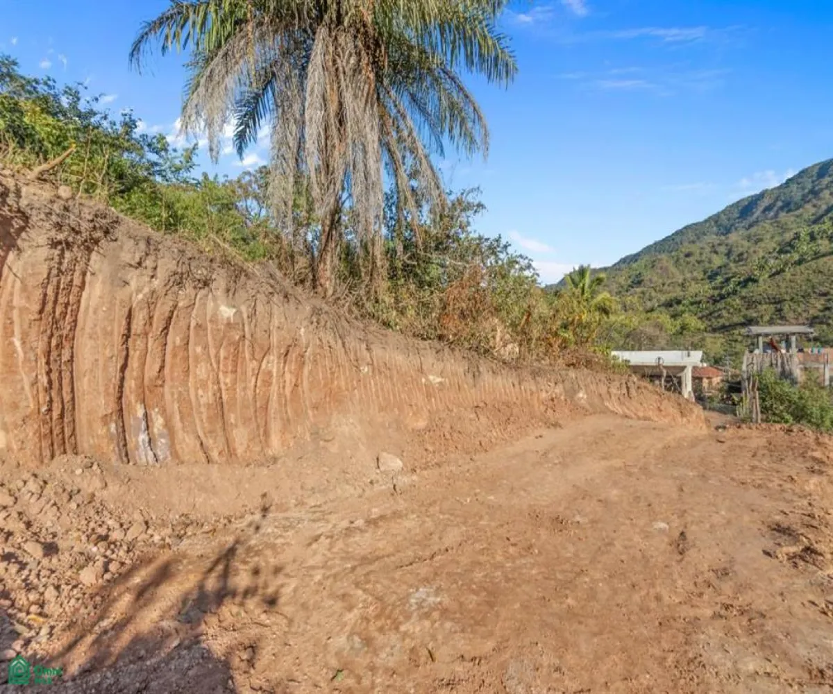 Terreno En Venta,Paso Del Molino,Pantera Lote 3 Manzana 8 Zona 1, Puerto Vallarta, Jalisco 48373,Pantera,MX25871502