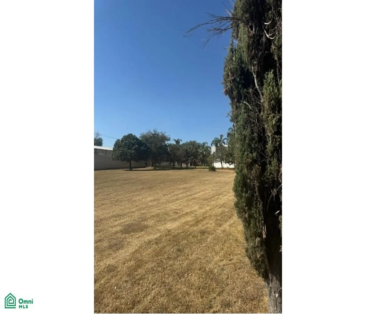 Local En Venta,La Palmira,MIGUEL ALEMAN S/N, Zapopan, Jalisco 45234,MIGUEL ALEMAN,MX25880631