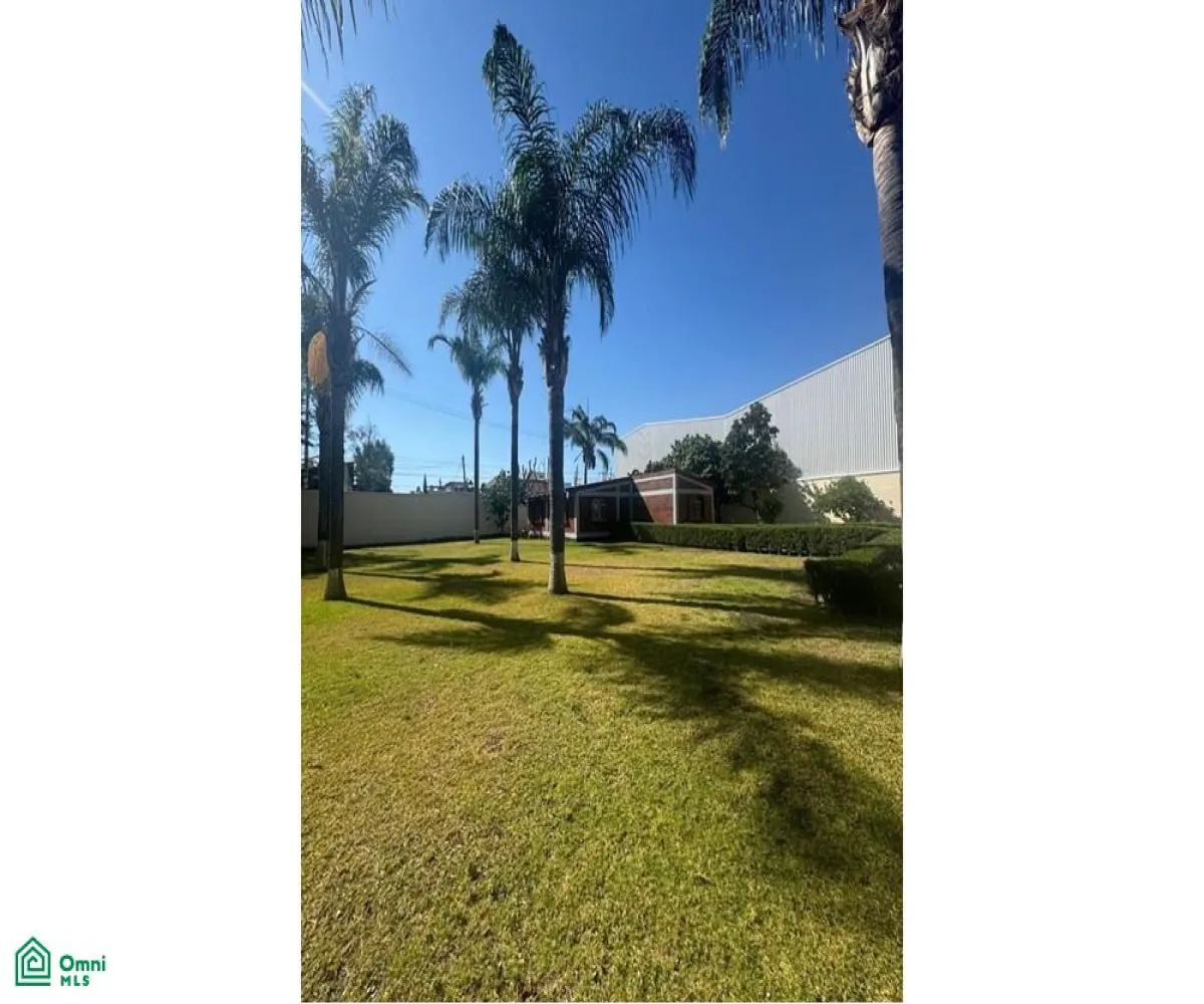 Local En Venta,La Palmira,MIGUEL ALEMAN S/N, Zapopan, Jalisco 45234,MIGUEL ALEMAN,MX25880631
