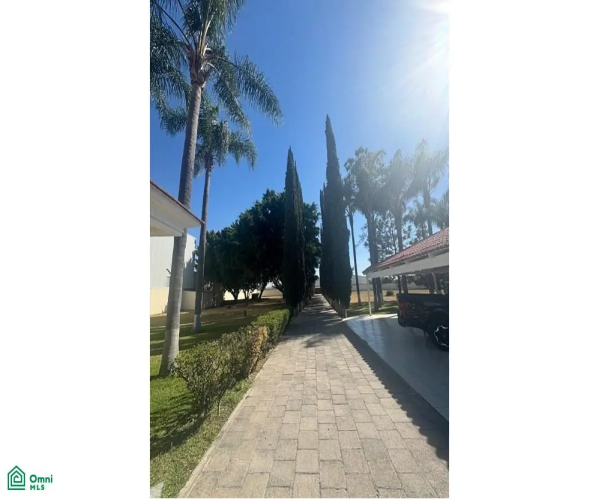 Local En Venta,La Palmira,MIGUEL ALEMAN S/N, Zapopan, Jalisco 45234,MIGUEL ALEMAN,MX25880631