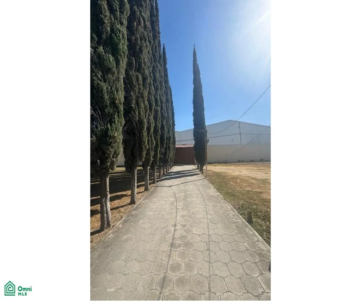 Local En Venta,La Palmira,MIGUEL ALEMAN S/N, Zapopan, Jalisco 45234,MIGUEL ALEMAN,MX25880631