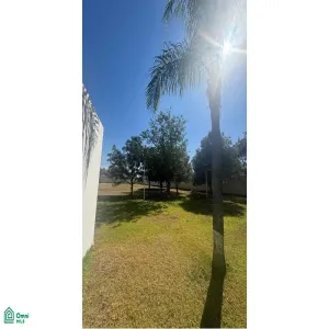 Local En Venta,La Palmira,MIGUEL ALEMAN S/N, Zapopan, Jalisco 45234,MIGUEL ALEMAN,MX25880631