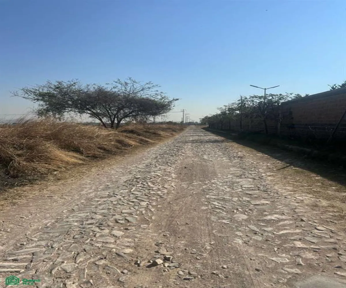 Terreno En Venta,Nextipac,EL RANCHO ESC s/n, Zapopan, Jalisco 45220,EL RANCHO ESC,MX25887419