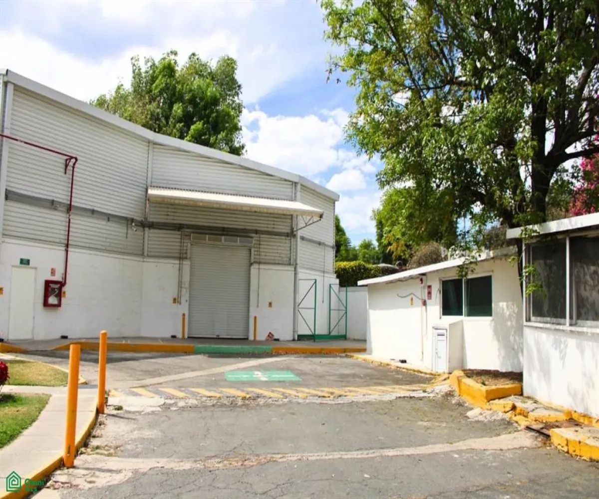 Local En Venta,El Bajío,Bajio 1, Zapopan, Jalisco 45019,Bajio,MX25888357