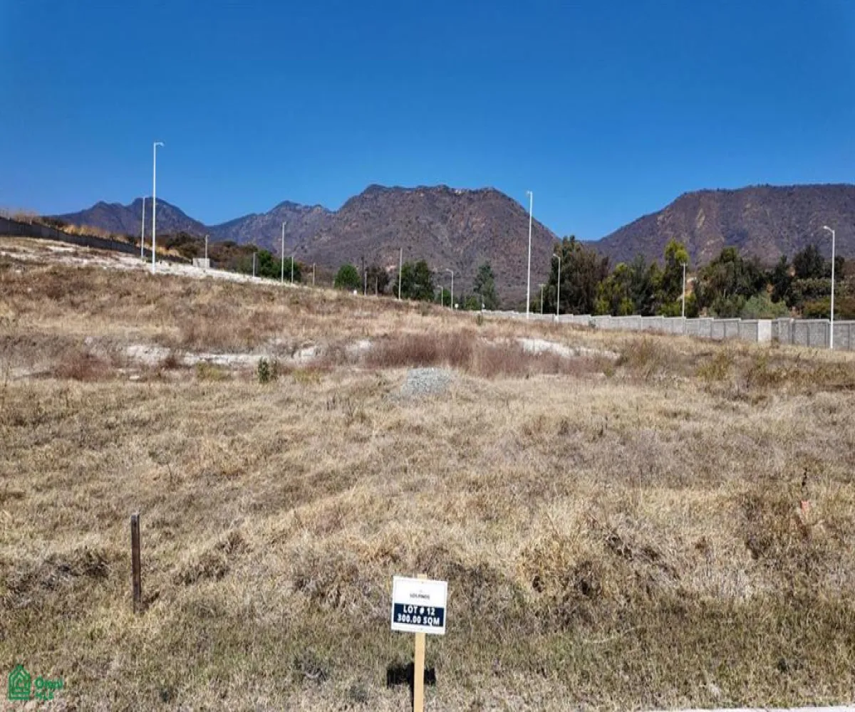 Terreno En Venta,Chapala Centro,Fraccionamiento Los Pinos Residencial 12, Chapala, Jalisco 45900,Fraccionamiento Los Pinos Residencial,MX25894341