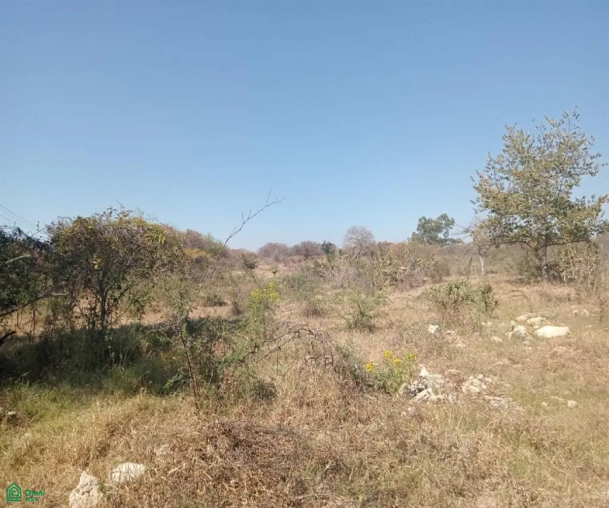 Terreno En Venta,San Nicolás de Ibarra,San Nicolas sn, Chapala, Jalisco 45940,San Nicolas,MX25894949