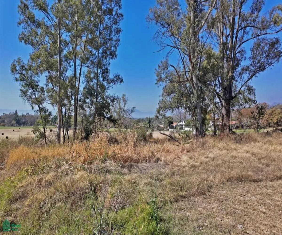 Terreno En Venta,Vista del Lago (Country Club de Chapala),GLORIETA 115, Chapala, Jalisco 45901,GLORIETA,MX25897843
