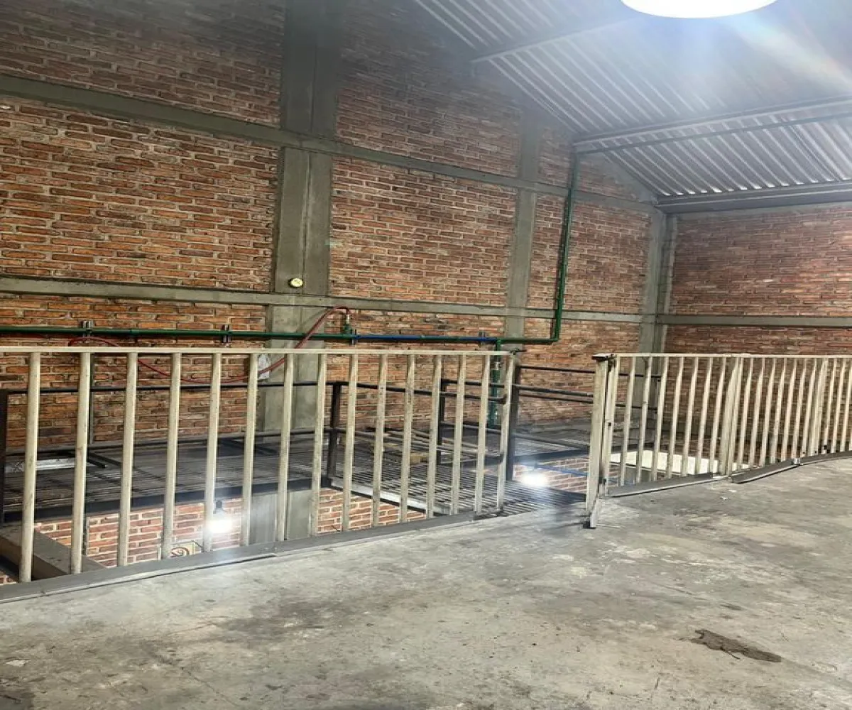 Bodega En Renta,San Juan Bosco,Esteban Alatorre 1871, Guadalajara, Jalisco 44730, 2 Habitaciones,11 Baños,Esteban Alatorre,2,pGdnD0Z