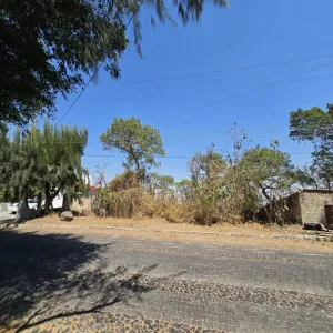 Terreno En Venta,Pinar de la Venta,Paseo de la Rosa Morada 30, Zapopan, Jalisco 45221,Paseo de la Rosa Morada,pQtqyM1